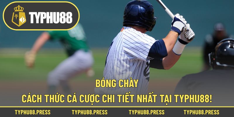 Bóng Chày - Cách Thức Cá Cược Chi Tiết Nhất Tại Typhu88!