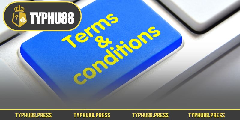 Khái niệm về điều khoản điều kiện Typhu88