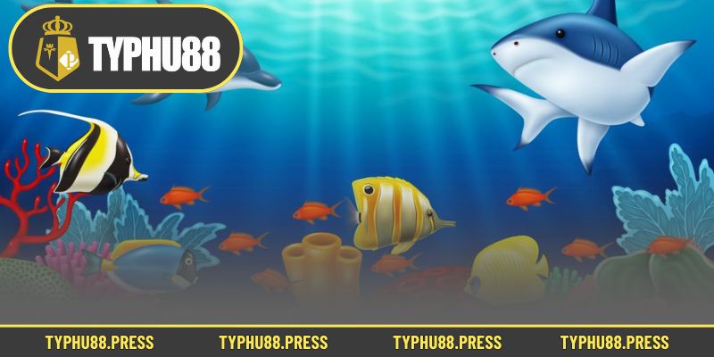 Lý do hội viên phải trải nghiệm Bắn cá rùa xanh một lần trong đờ