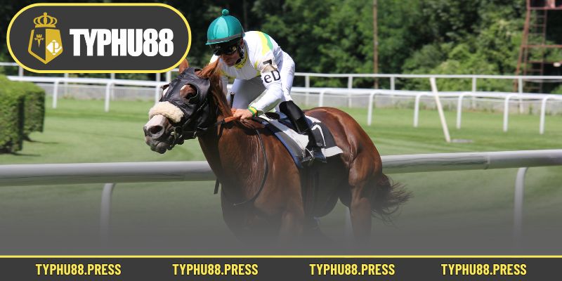 Những kèo cược đua ngựa hấp dẫn nên thử 1 lần