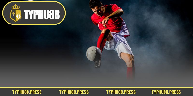 Vì sao nên thử kèo rung tại thương hiệu cá cược Typhu88